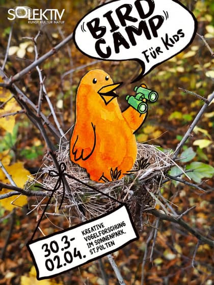 Bird Camp für Kids