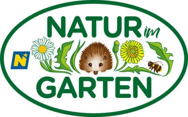 Natur im Garten